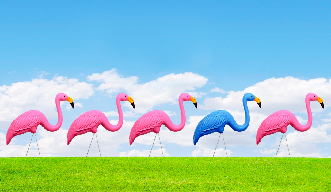 Image of green grass with blue sky and white clouds with a horizontal line of 5 pink garden flamingos-the 4th flamingo is blue.