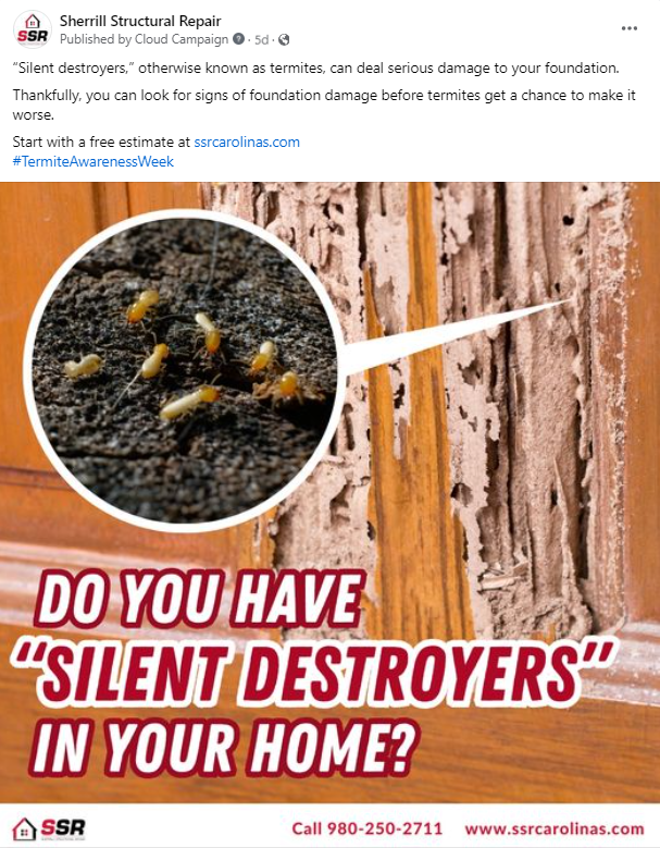 A social media post about termites including a picture of termites eating wood