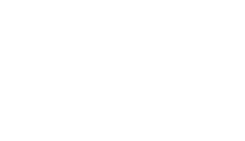 The Biz Exchange: Locust Business Network Logo in white