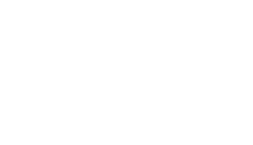 Digital Marketing Institute logo in white