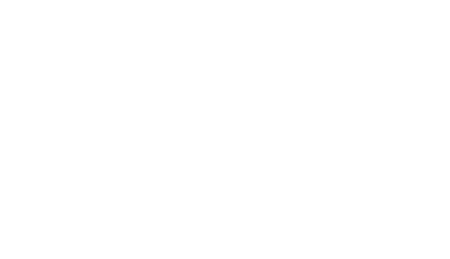 Stanly County Chamber of Commerce Logo in white